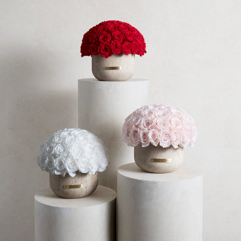 Terre Travertine Vase Roses