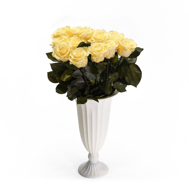 Aphrodite Porcelain Vase