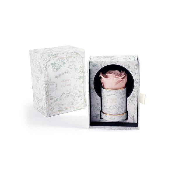 Le Mini Round Toile Du Joie Roses