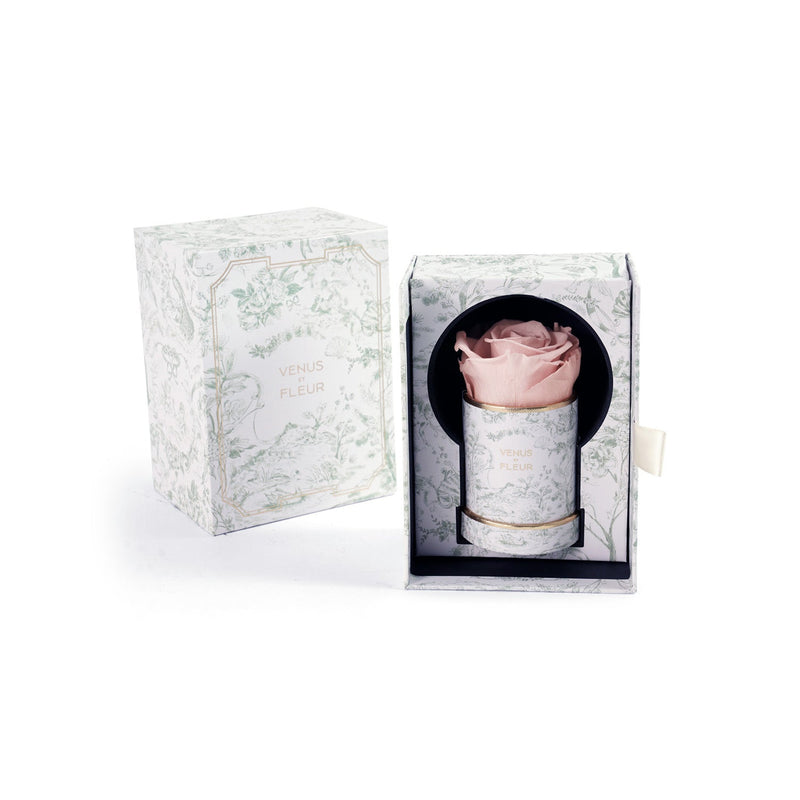Le Mini Round Toile Du Joie Roses