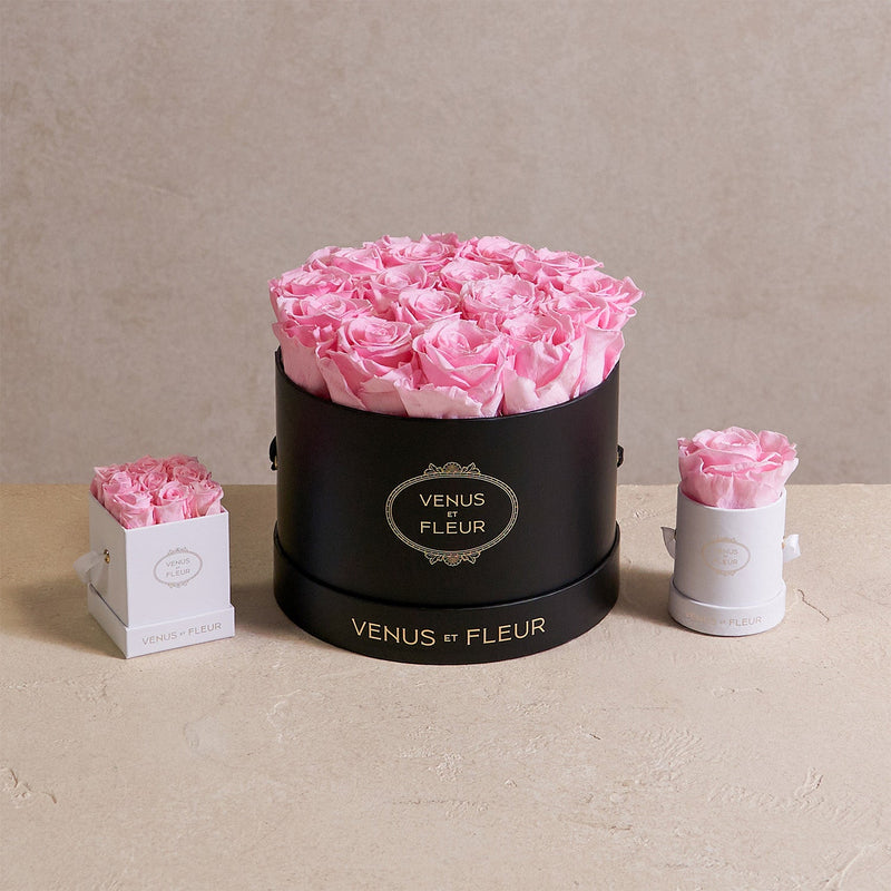 Le Mini Round White Classic Roses