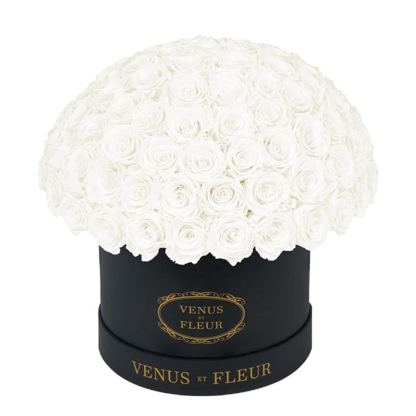 Large Le Plein Black Classic Roses
