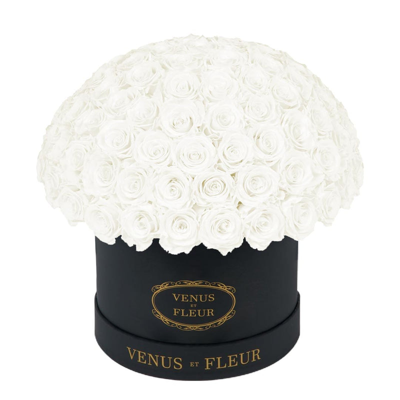 Large Le Plein Black Classic Roses