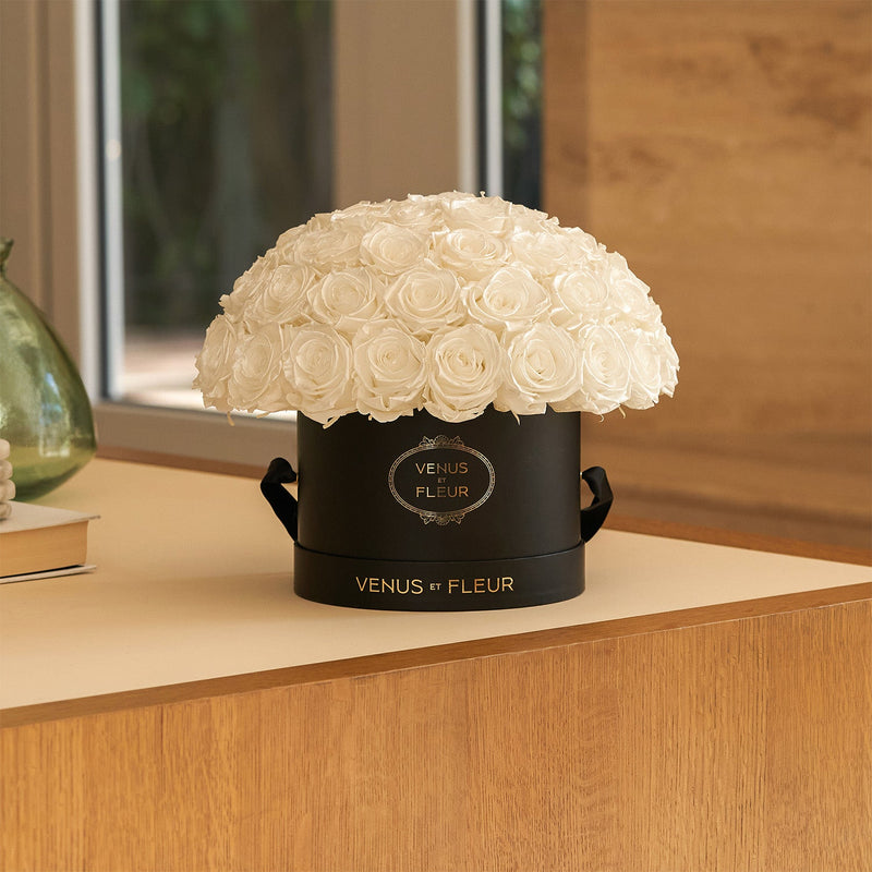 Small Le Plein Black Classic Roses