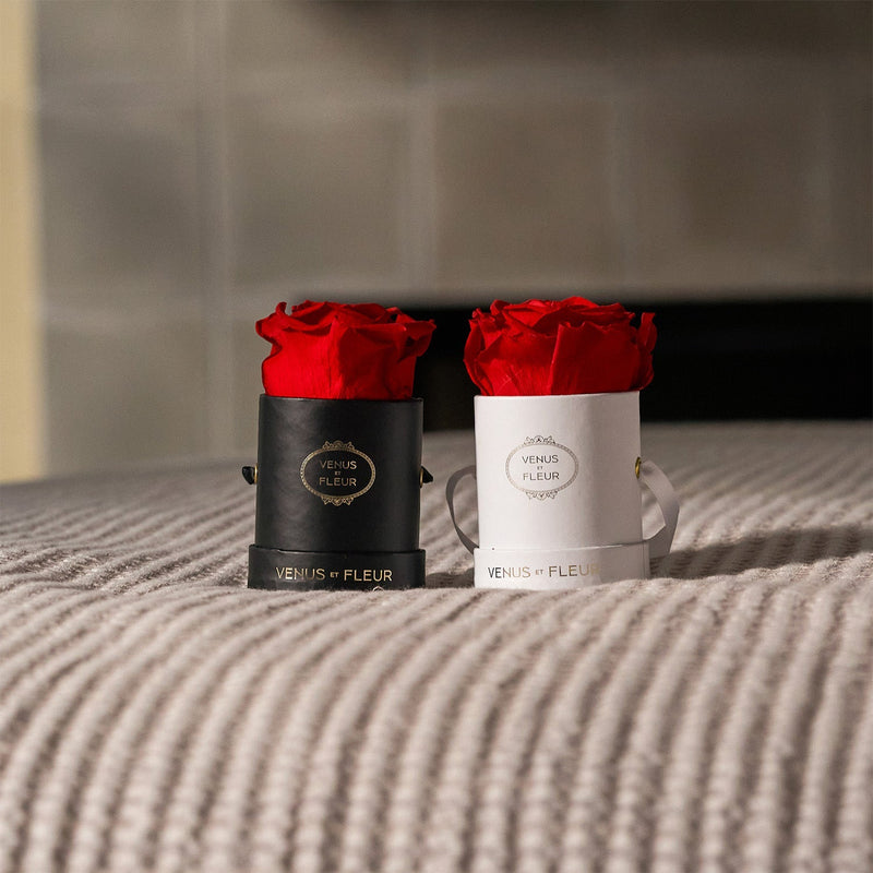 Le Mini Round White Classic Roses