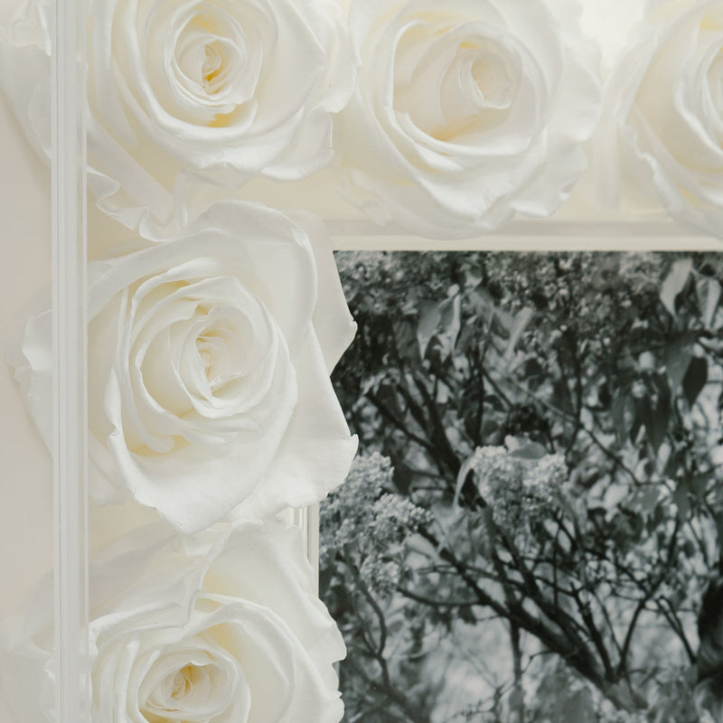 Close-up of white roses surrounding a black-and-white photograph of trees.