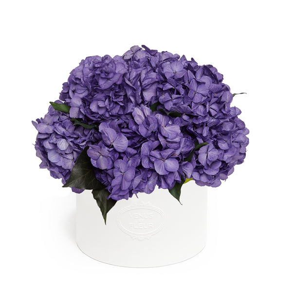Thalia Porcelain Vase Hydrangeas