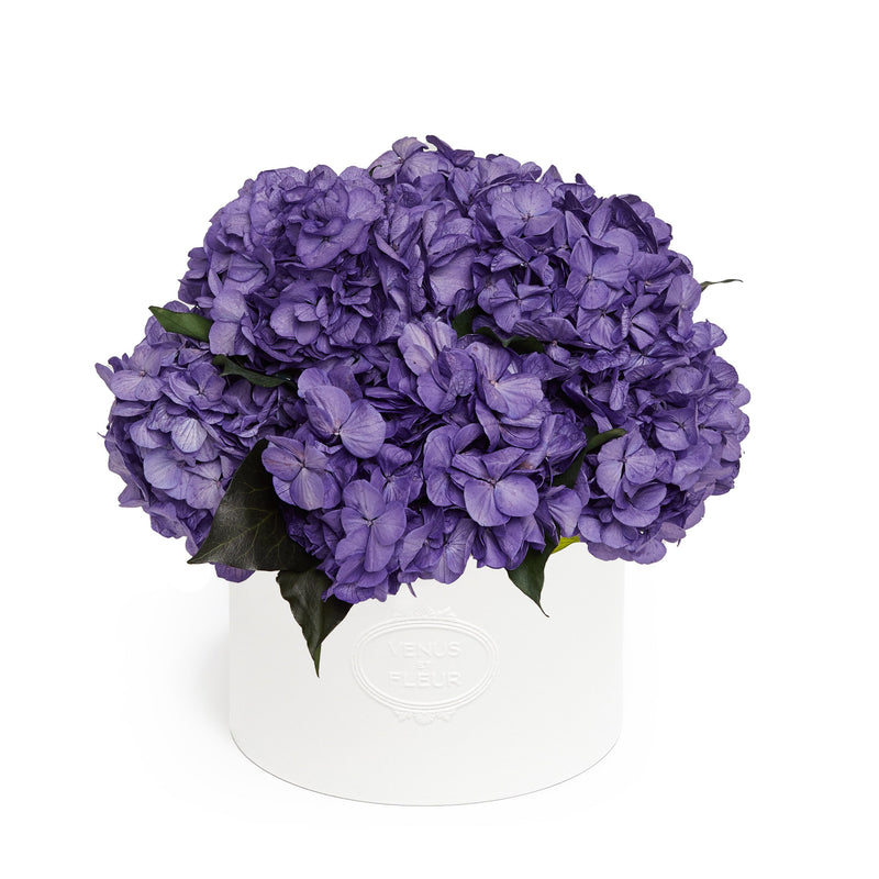 Thalia Porcelain Vase Hydrangeas