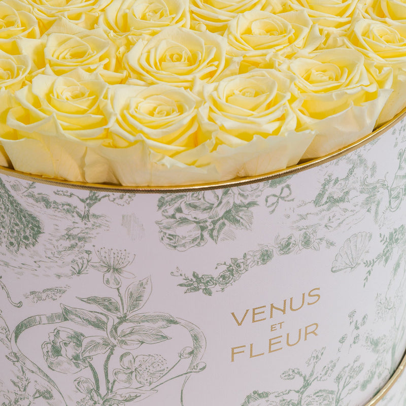 Large Round Toile Du Joie Roses