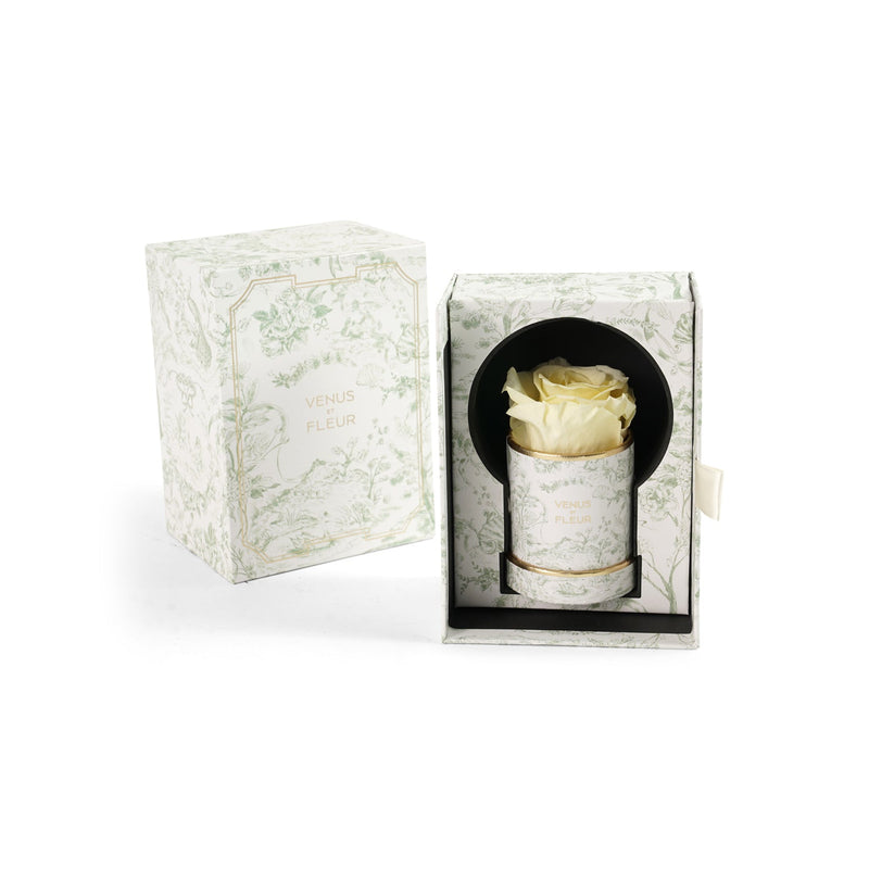 Le Mini Round Toile Du Joie Roses