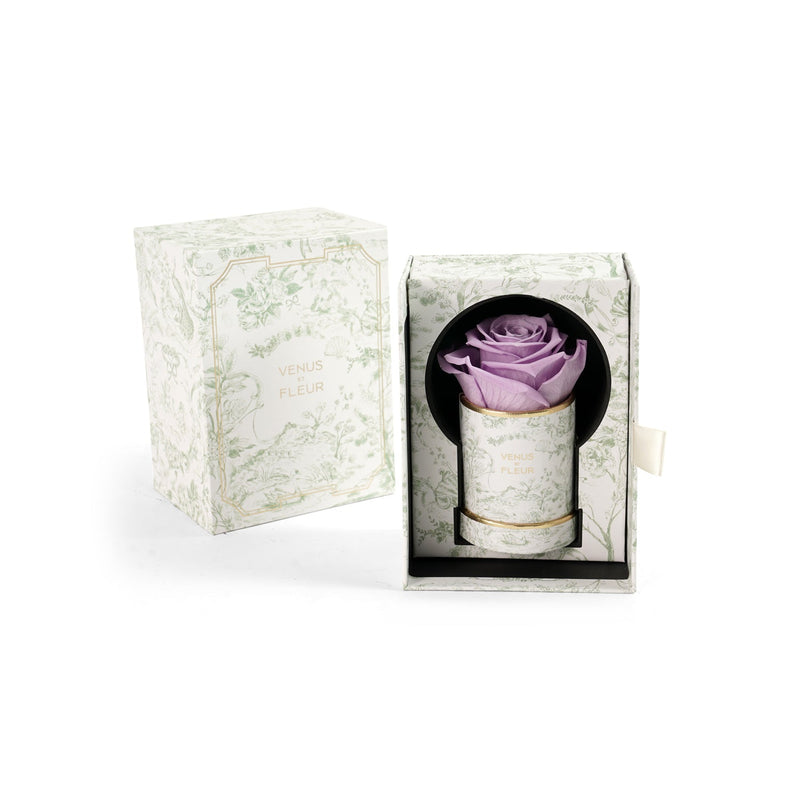 Le Mini Round Toile Du Joie Roses