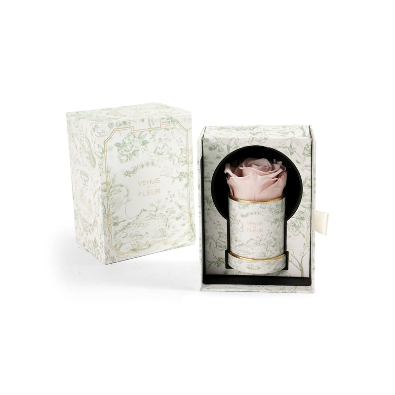 Le Mini Round Toile Du Joie Roses