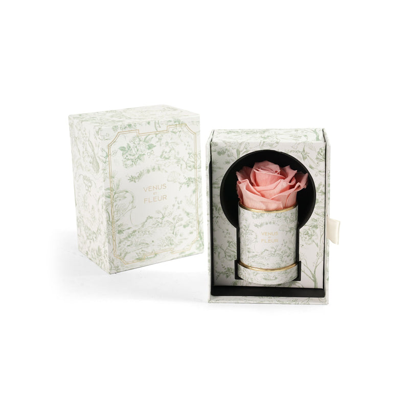 Le Mini Round Toile Du Joie Roses