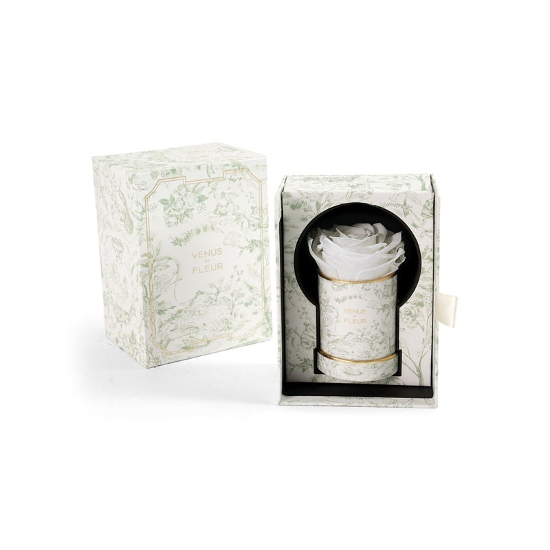 Le Mini Round Toile Du Joie Roses