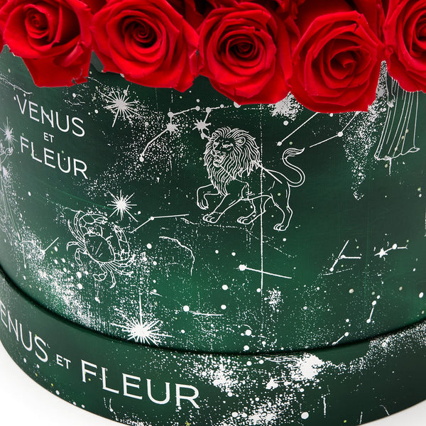 image-with-thumbnail