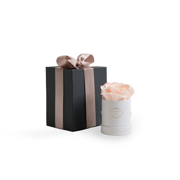 Le Mini Round White Classic Roses