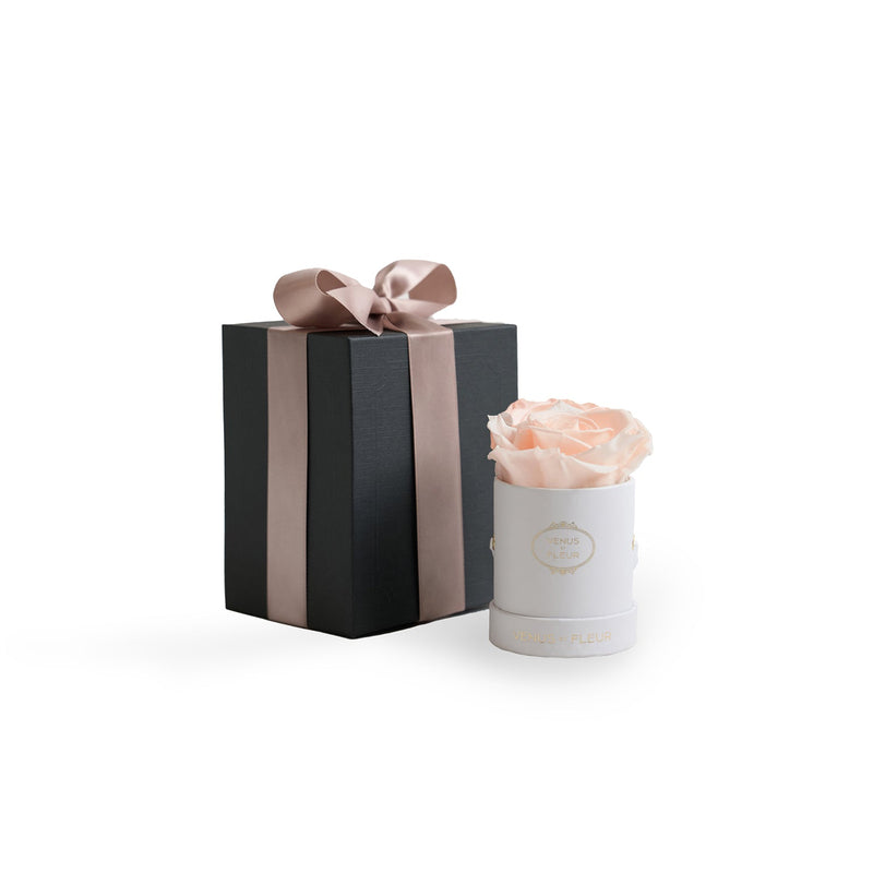 Le Mini Round White Classic Roses