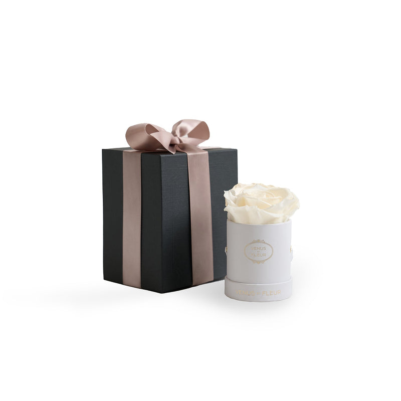 Le Mini Round White Classic Roses
