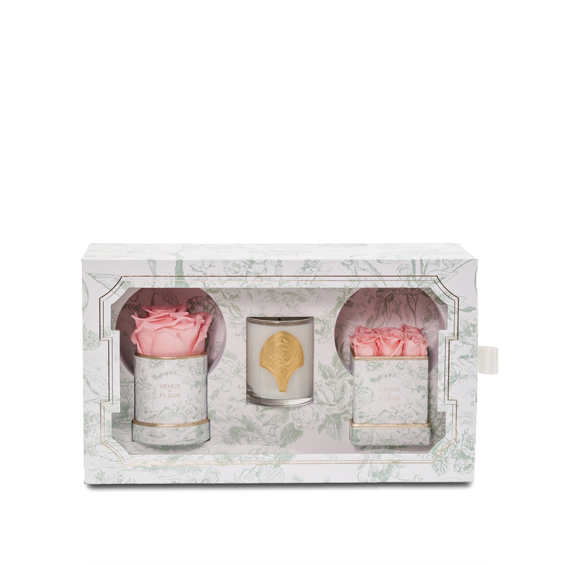 Toile du Joie Bundle Set