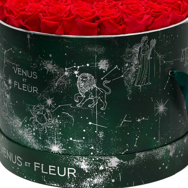 image-with-thumbnail