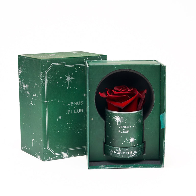 image-with-thumbnail