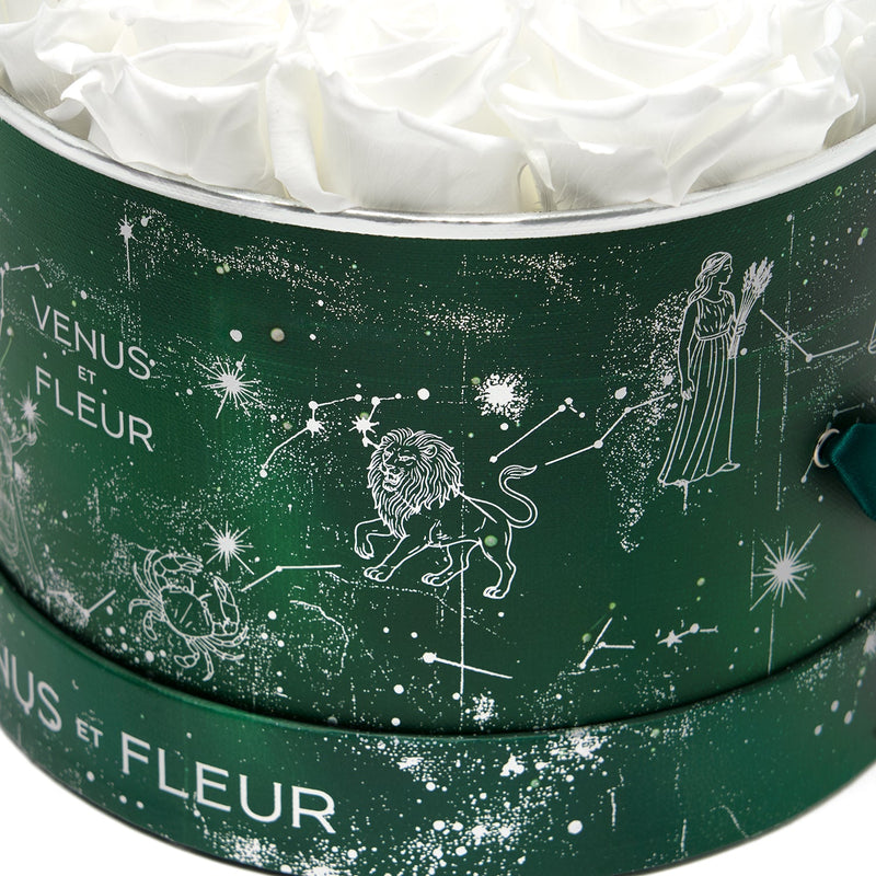 image-with-thumbnail