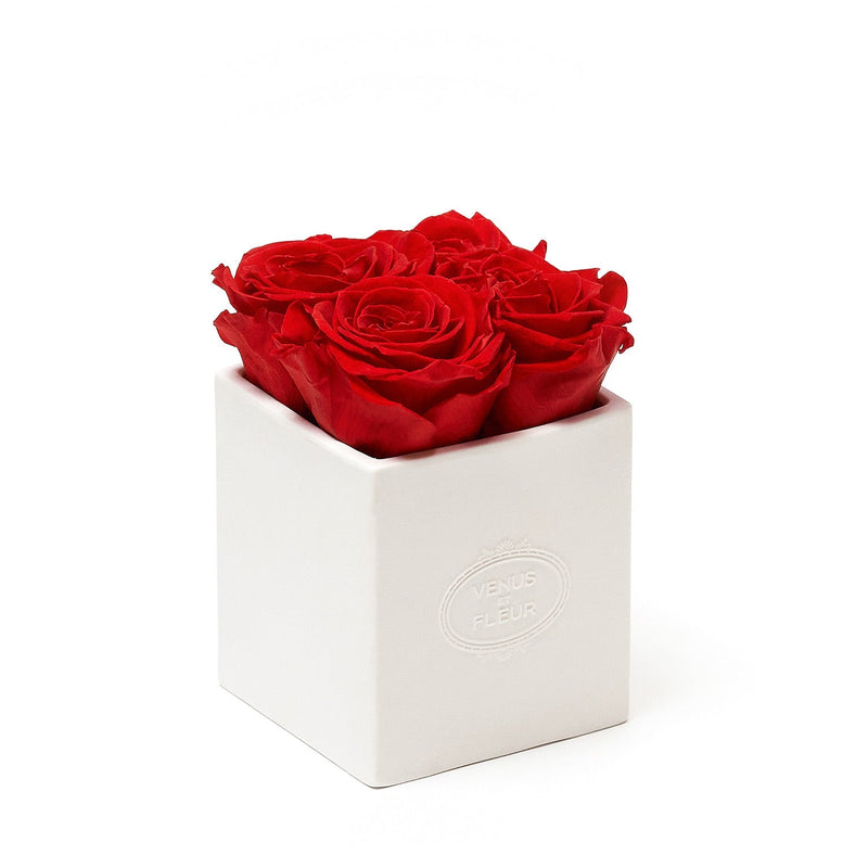 Sylvie Porcelain Vase Roses