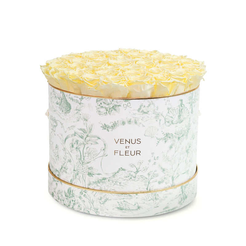 Large Round Toile Du Joie Roses