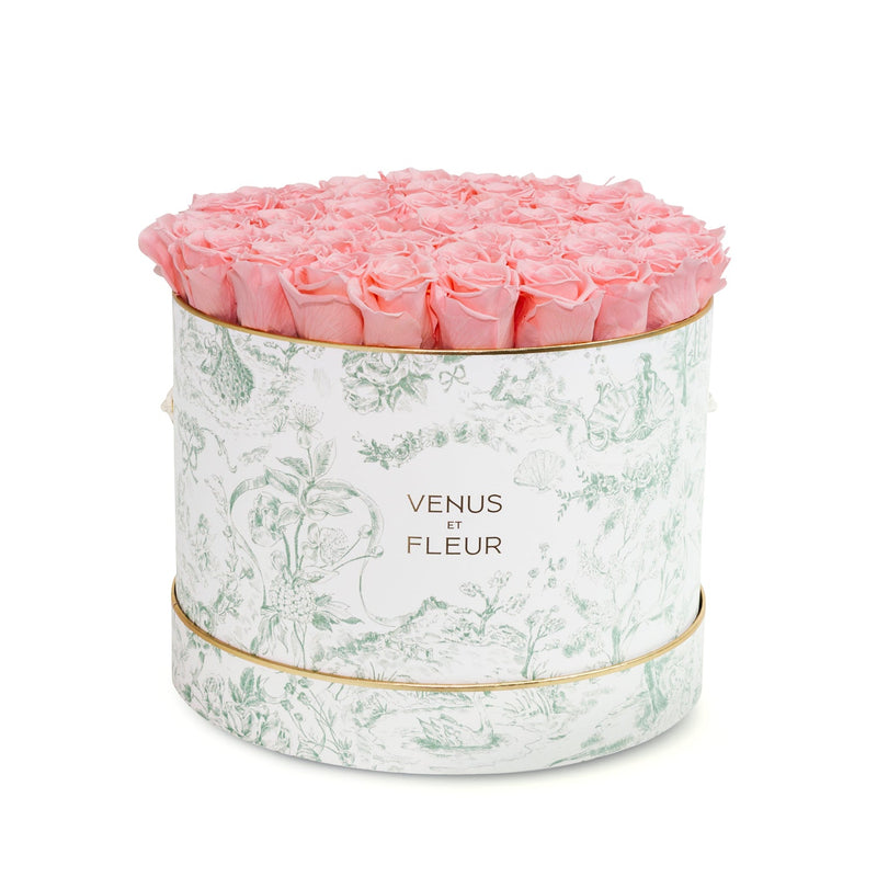 Large Round Toile Du Joie Roses