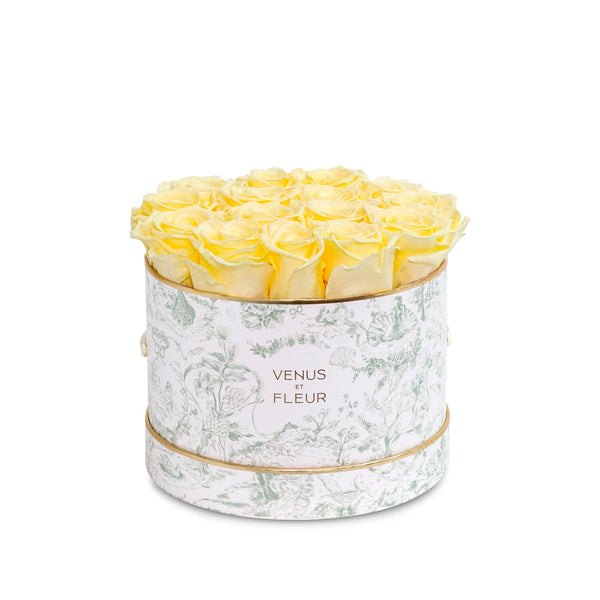 Small Round Toile Du Joie Roses