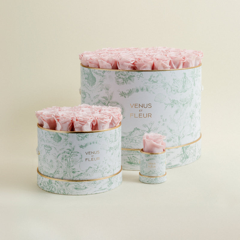 Large Round Toile Du Joie Roses