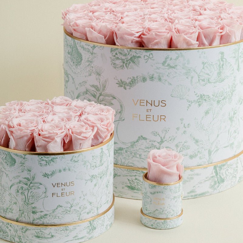 Large Round Toile Du Joie Roses