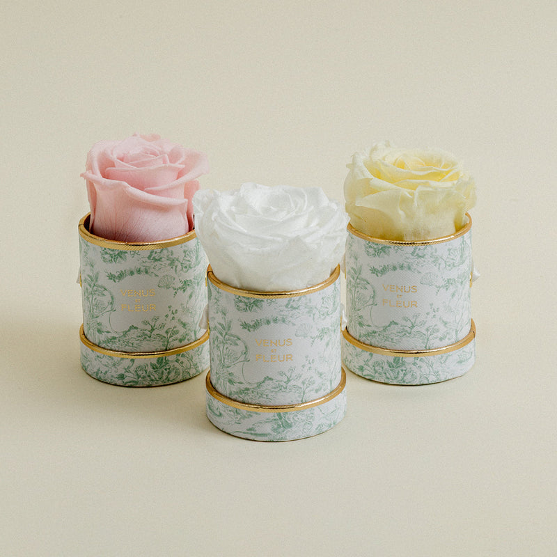 Le Mini Round Toile Du Joie Roses