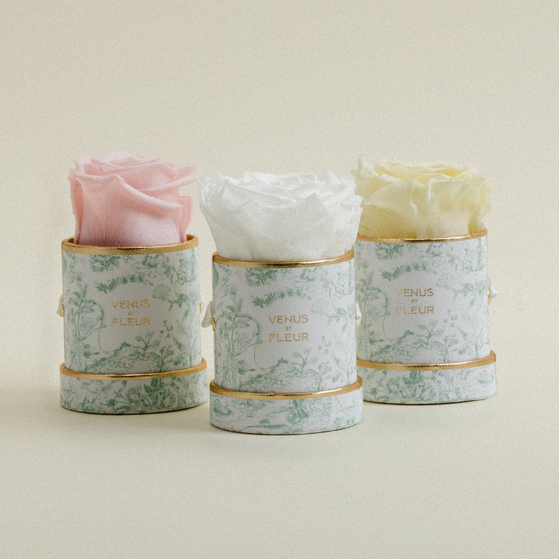 Le Mini Round Toile Du Joie Roses