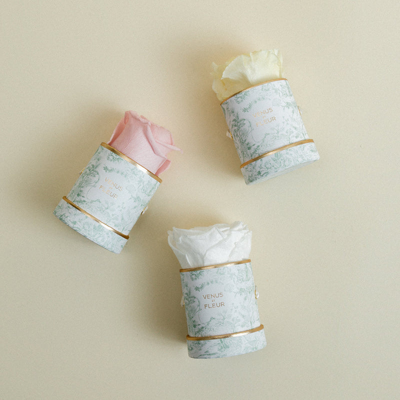 Le Mini Round Toile Du Joie Roses