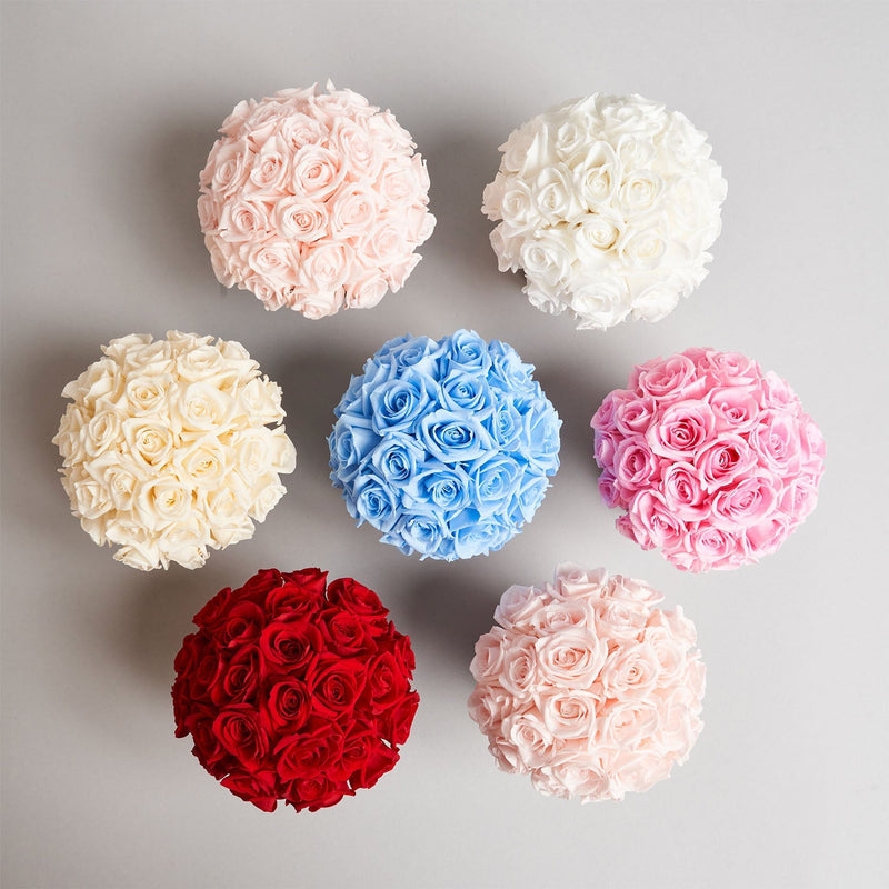 Mini Le Plein White Classic Roses