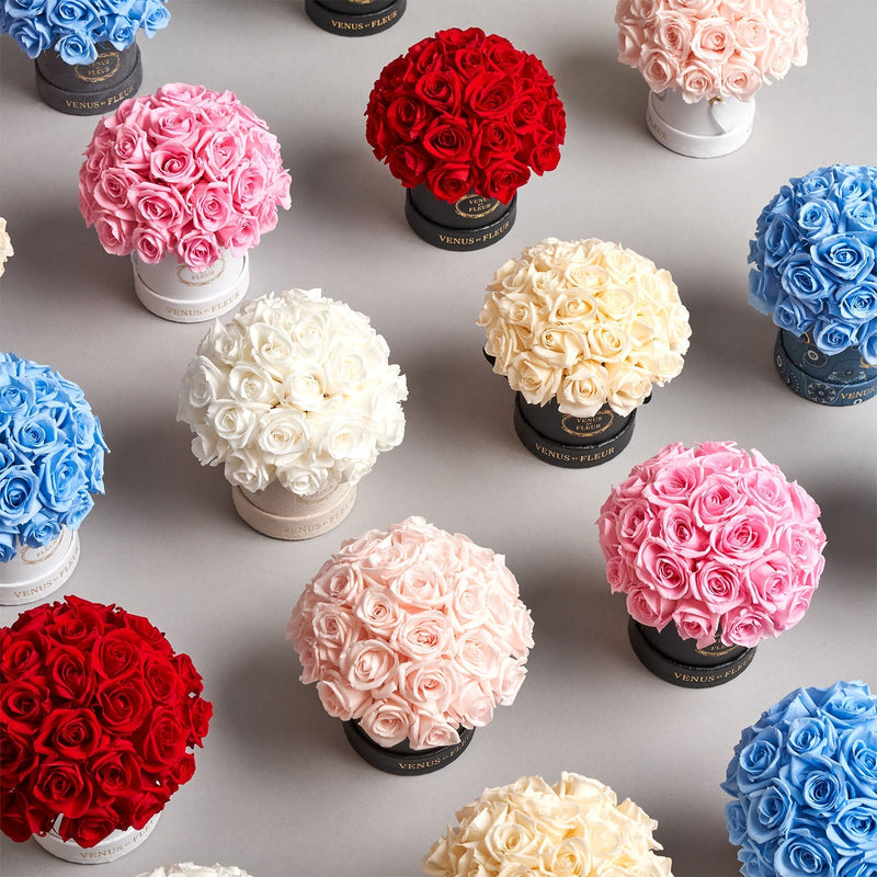 Mini Le Plein Black Classic Roses