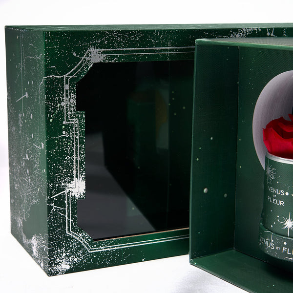 Céleste Gift Bundle