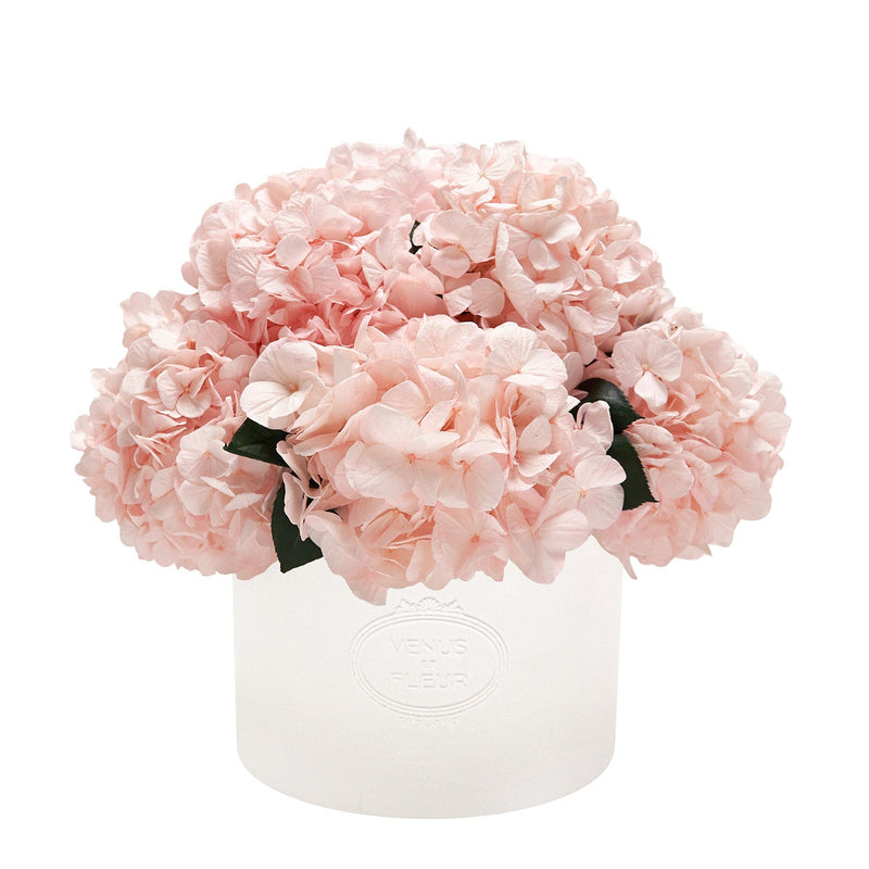 Thalia Porcelain Vase Hydrangeas