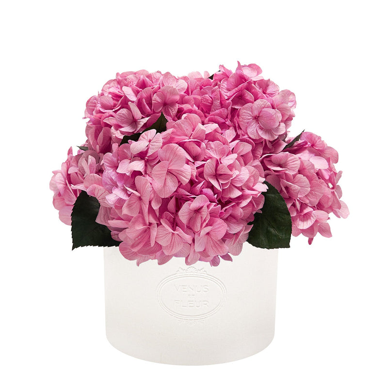 Thalia Porcelain Vase Hydrangeas