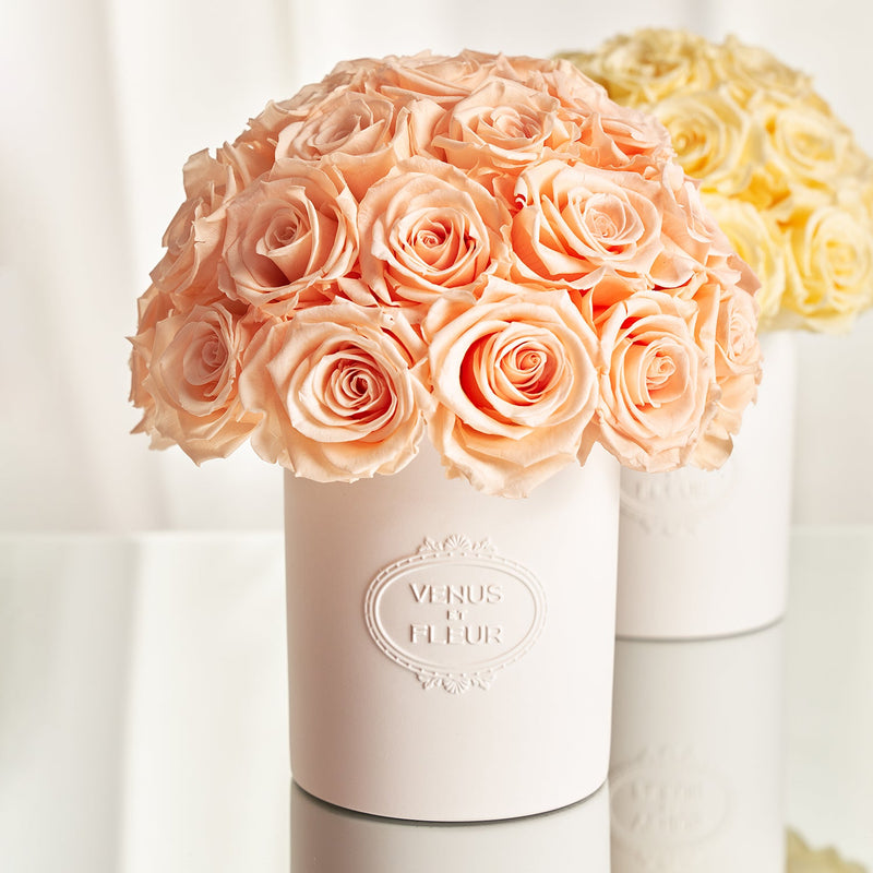 Fleura Porcelain Vase Roses