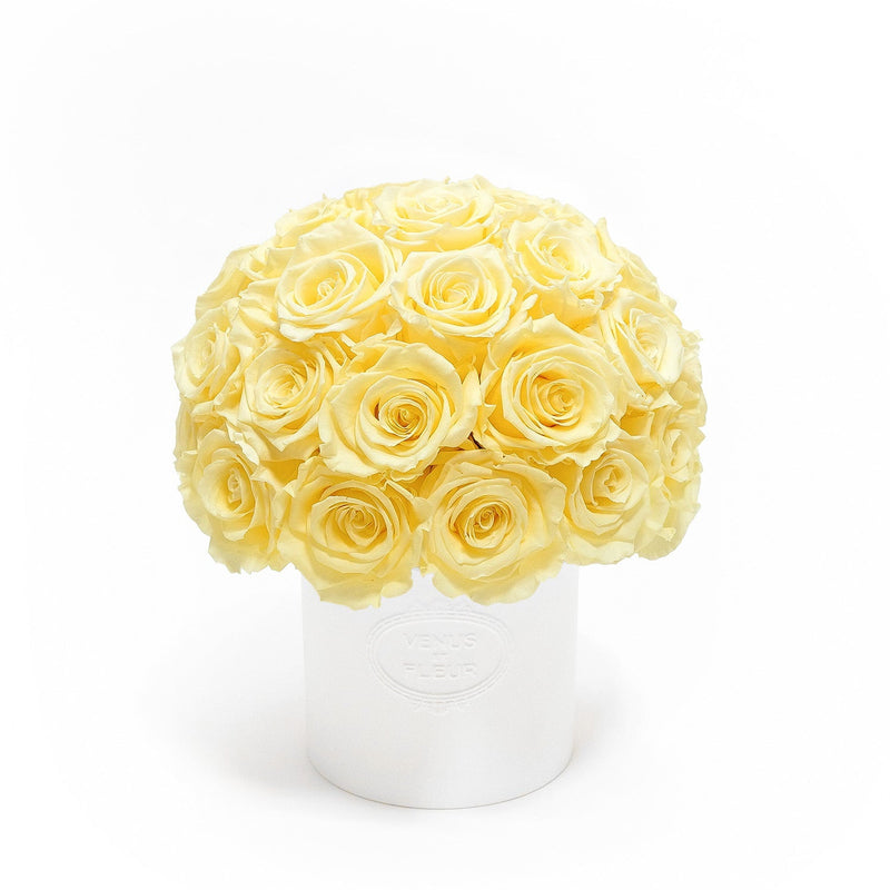 Fleura Porcelain Vase Roses