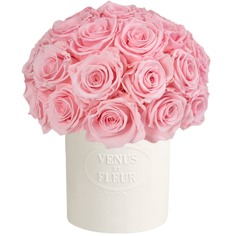 Fleura Porcelain Vase Roses