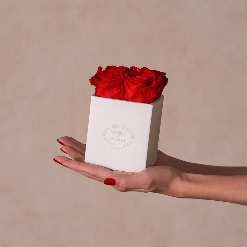 Sylvie Porcelain Vase Roses