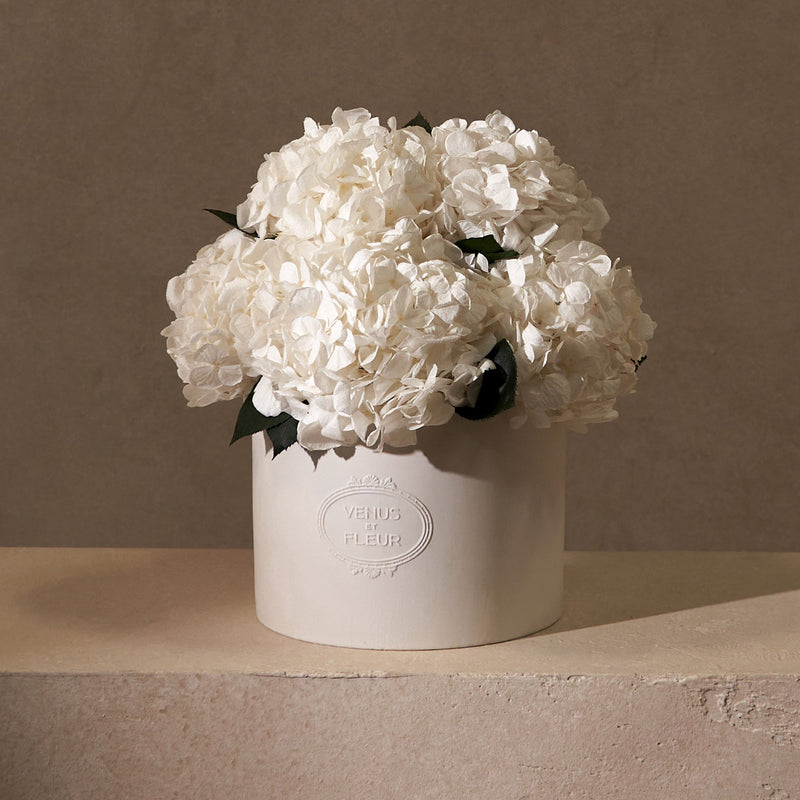 Thalia Porcelain Vase Hydrangeas
