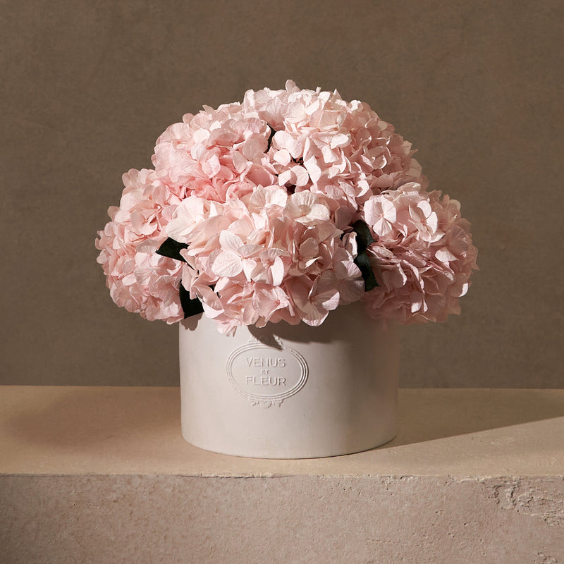 Thalia Porcelain Vase Hydrangeas