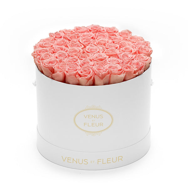 Large Round White Classic Roses