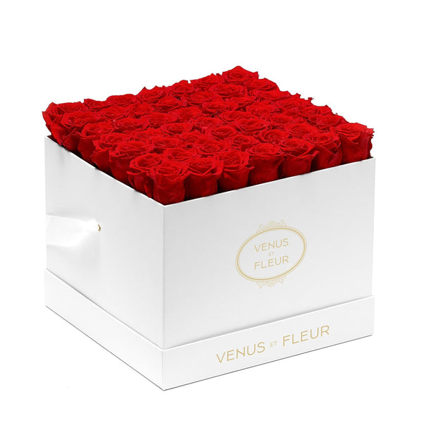 Large Square White Classic Roses