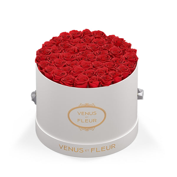 Large Round White Classic Roses