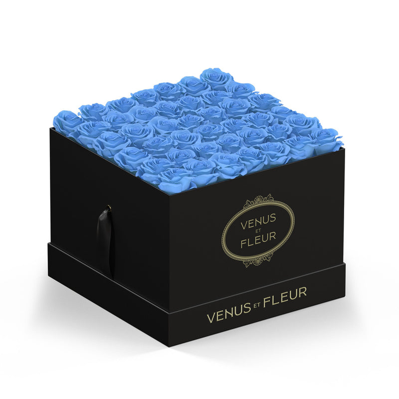 Large Square Black Classic Roses
